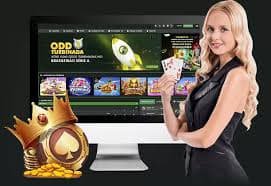 winbet app